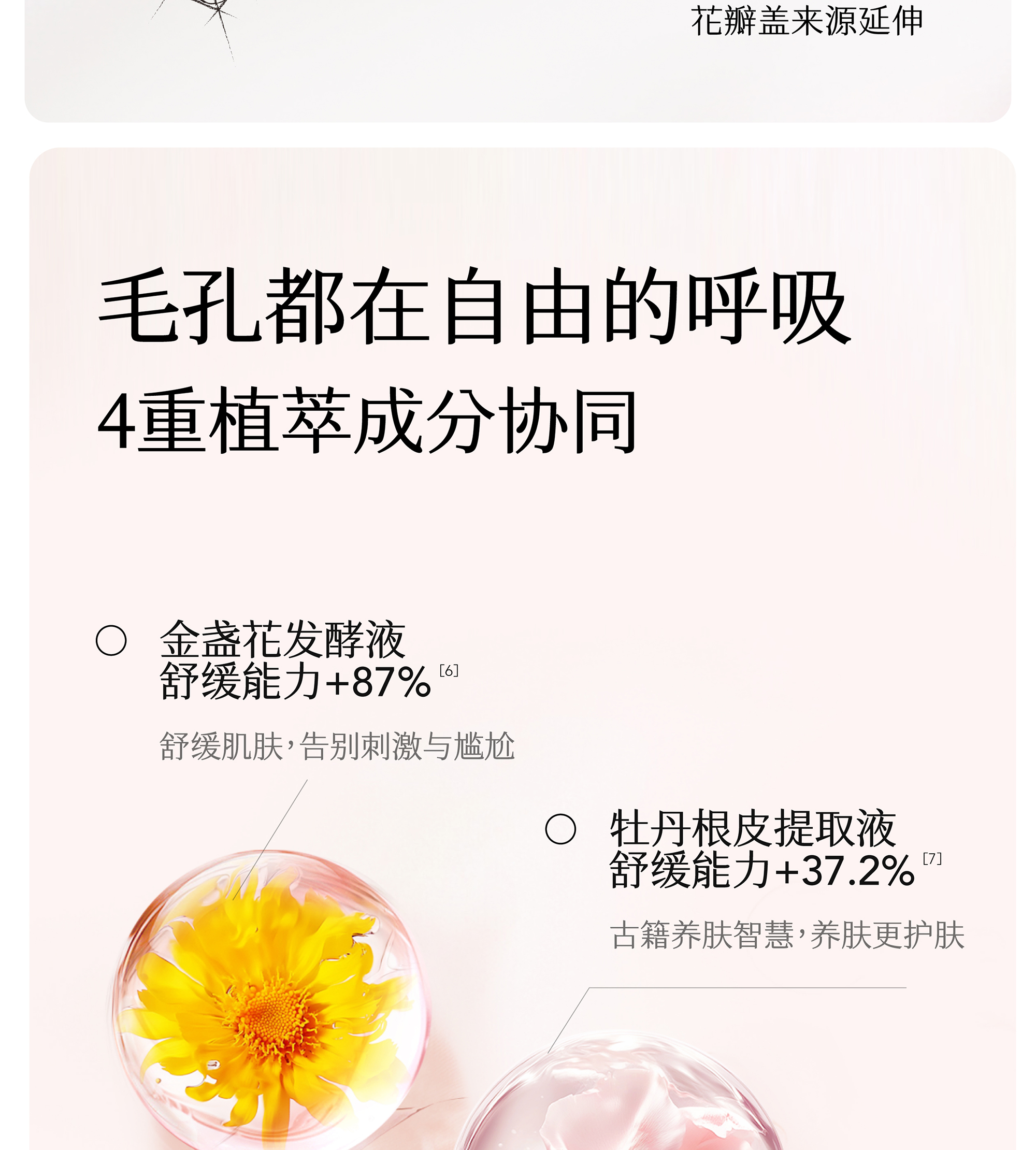 半亩花田爽身香体露[白桃落樱]