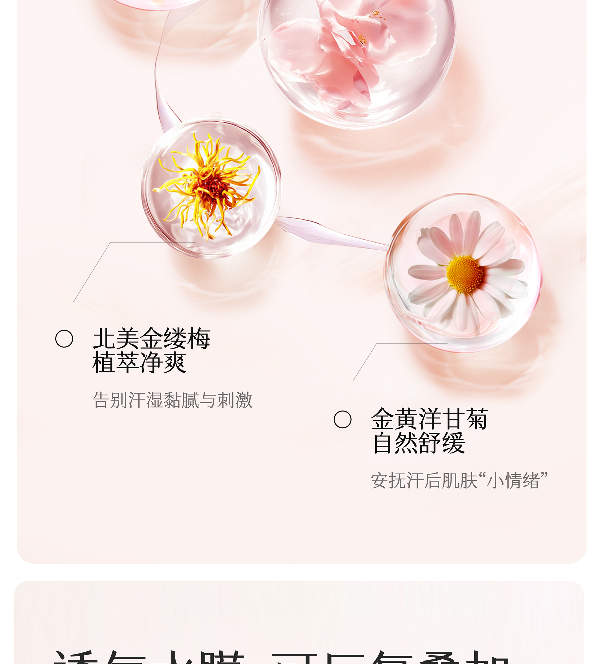 半亩花田爽身香体露[白桃落樱]