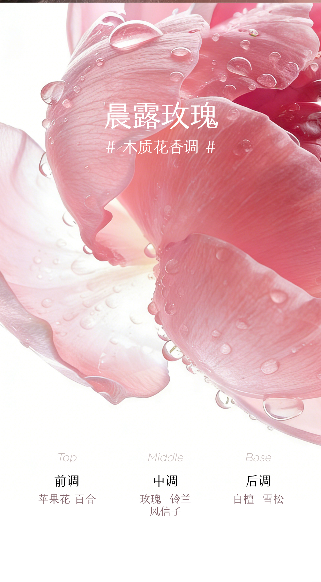 半亩花田自在轻盈洗发水（晨露玫瑰）