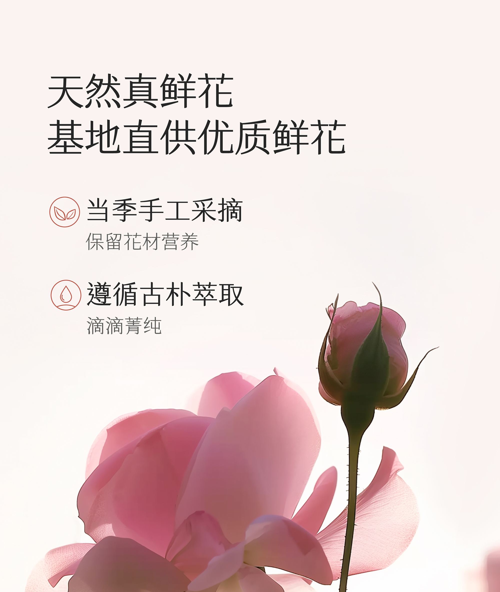 半亩花田玫瑰花瓣香氛沐浴露（枕边玫瑰）