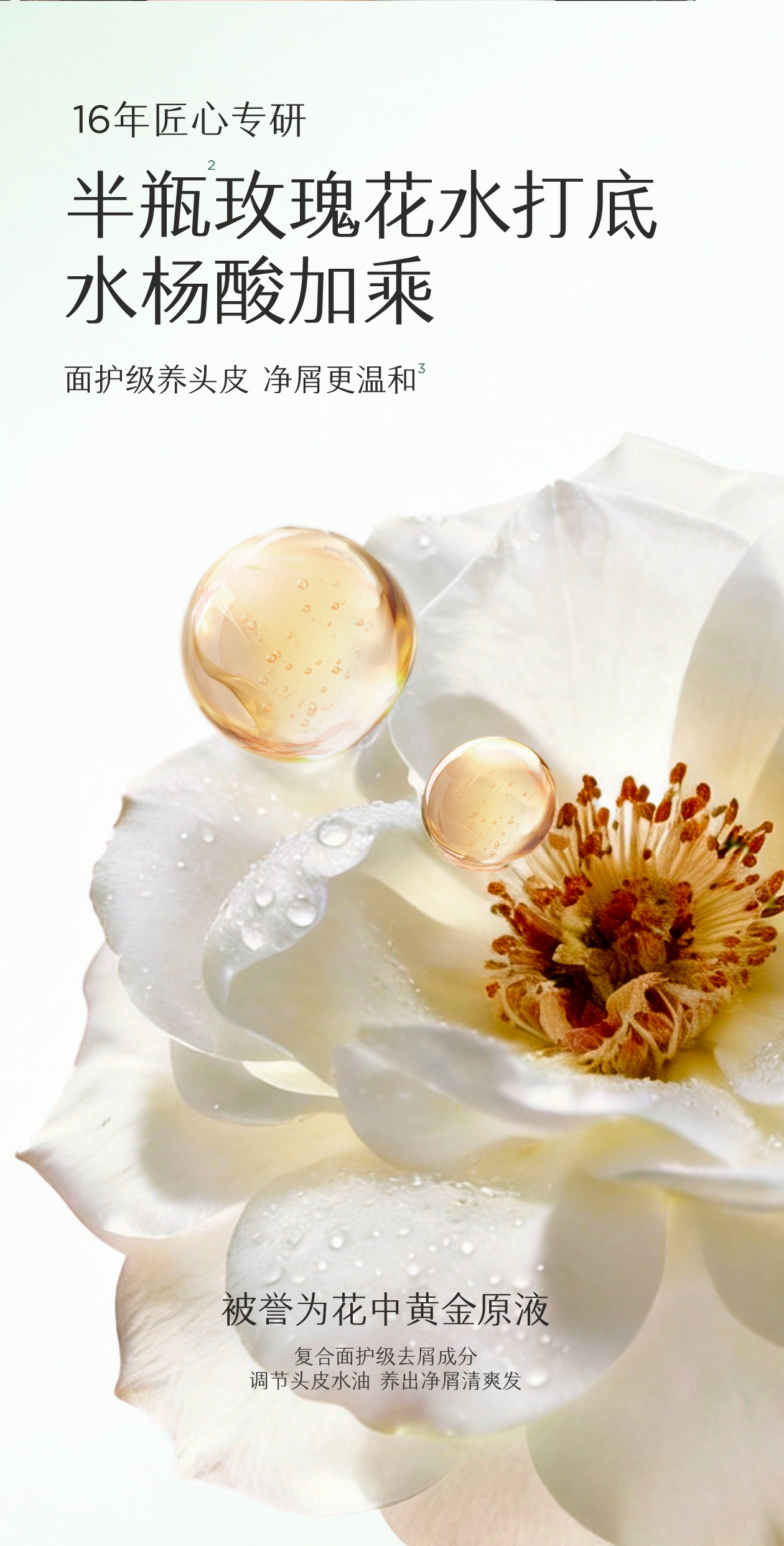 活力去屑洗发水（微风山茶）