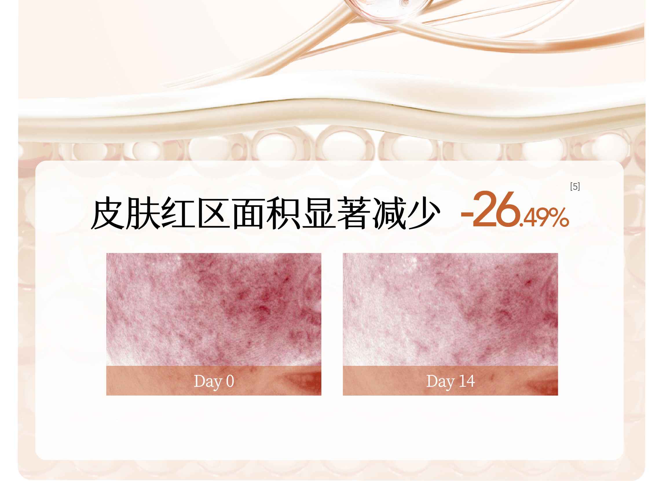 半亩花田山茶花花酵水润焕亮洁面乳