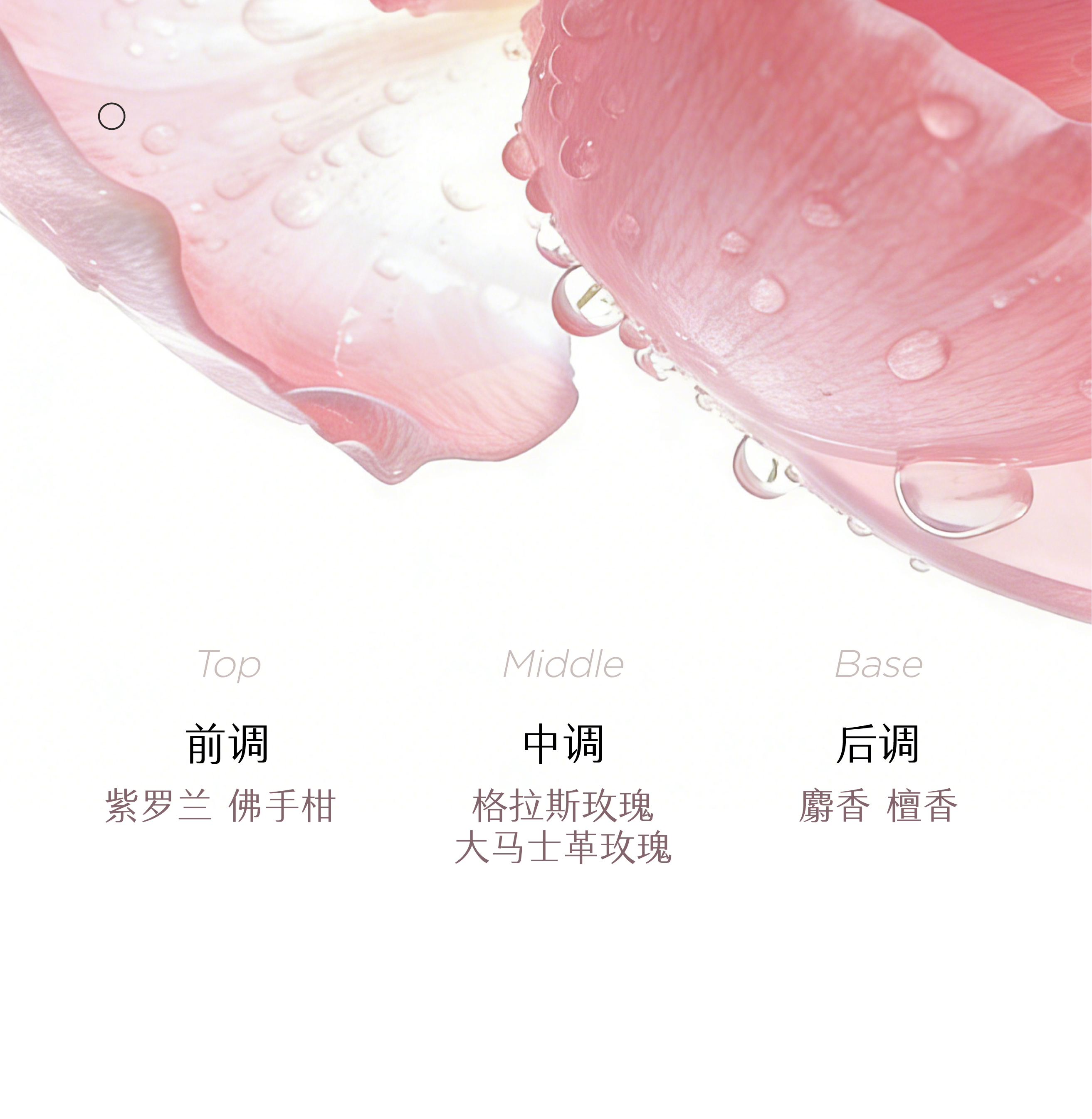 半亩花田沁润柔亮润发乳