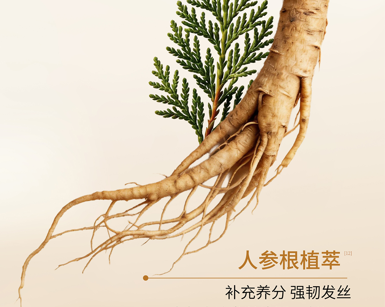 防脱洗发水详情页 17
