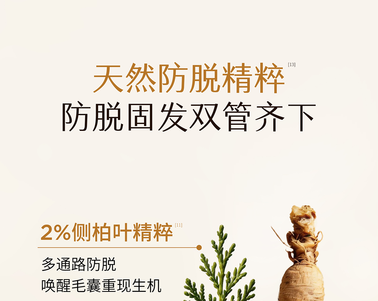 防脱洗发水详情页 16