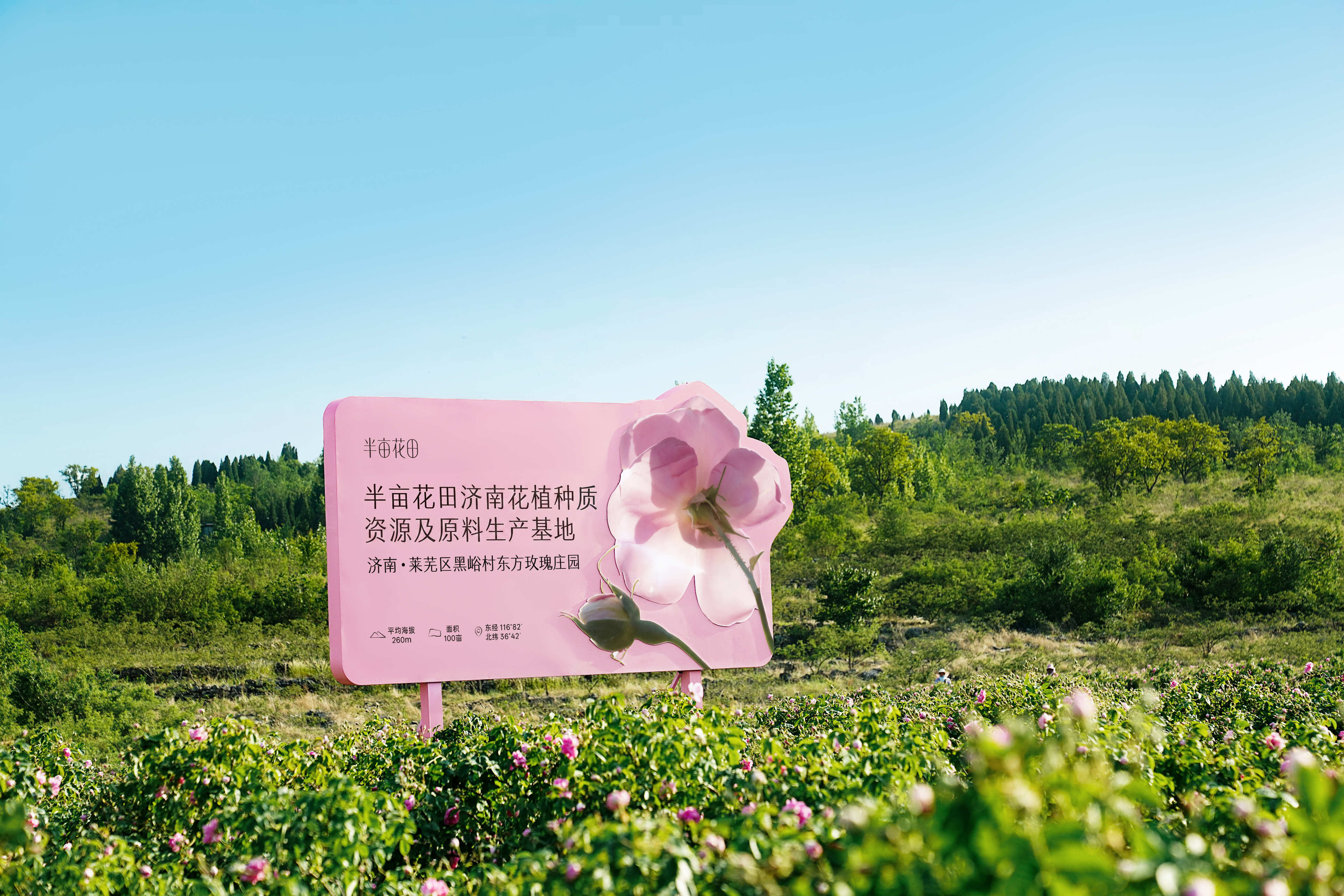 半亩花田16年深耕天然花植研究，让世界看见花植养肤之力